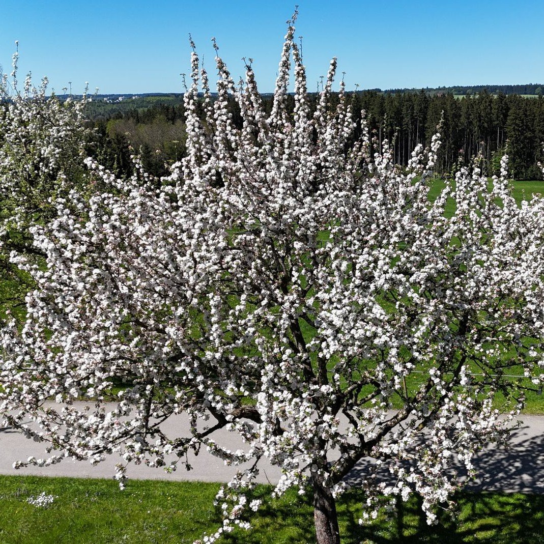 Natur 7