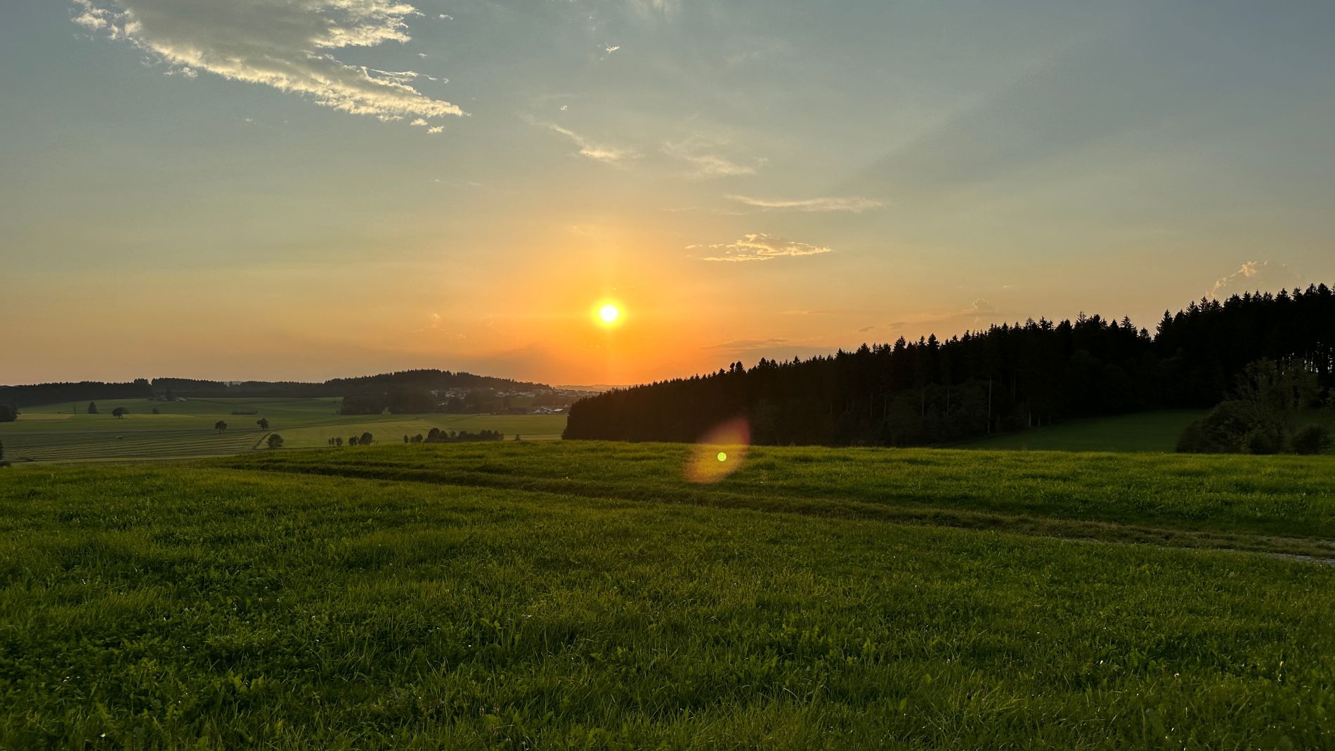 Landschaft 12